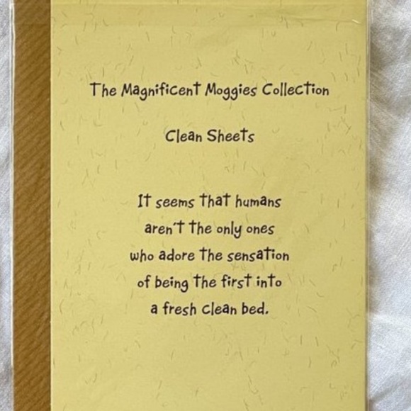 Clean Sheets Cat Greeting Card - Picture 7 of 8